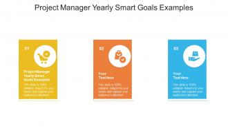Project Manager Yearly Smart Goals Examples Ppt Powerpoint Presentation Infographics Cpb