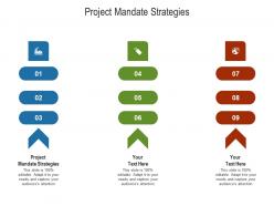Project mandate strategies ppt powerpoint presentation summary ideas cpb