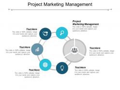 Project marketing management ppt powerpoint presentation show design inspiration cpb