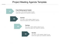 Project meeting agenda template ppt powerpoint presentation visual aids styles cpb