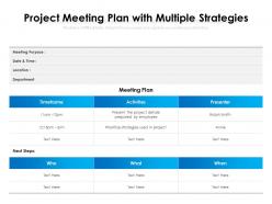 Project meeting plan with multiple strategies