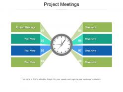 Project meetings ppt powerpoint presentation infographics styles cpb