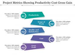 Project metrics showing productivity cost gross gain