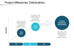 Project milestones deliverables ppt powerpoint presentation infographic template objects cpb