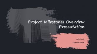 Project Milestones Overview Presentation PPT Information ACP