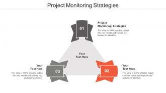 Project Monitoring Strategies Ppt Powerpoint Presentation Pictures Layout Cpb
