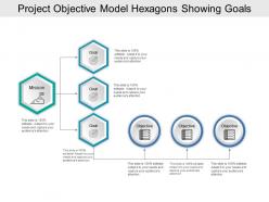 Project objective model hexagons showing goals
