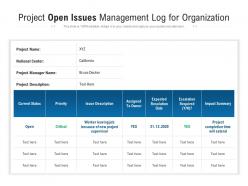 Project open issues management log for organization