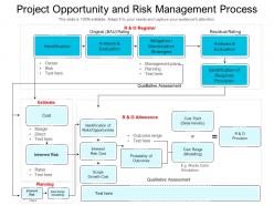 Project opportunity and risk management process