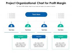Project organizational chart for profit margin infographic template