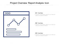 Project overview report analysis icon