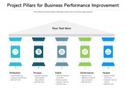 Project pillars for business performance improvement