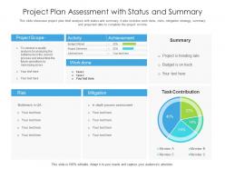 Project plan assessment with status and summary