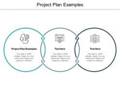 Project plan examples ppt powerpoint presentation ideas graphics cpb