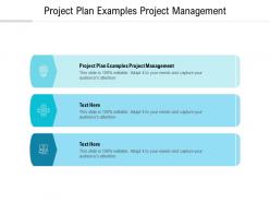 Project plan examples project management ppt powerpoint presentation professional inspiration cpb