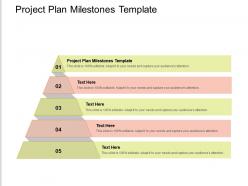 Project plan milestones template ppt powerpoint presentation infographic template model cpb