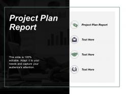 Project plan report ppt powerpoint presentation file layout cpb