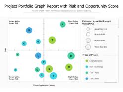 Project portfolio graph report with risk and opportunity score