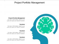 Project portfolio management ppt powerpoint presentation ideas portrait cpb