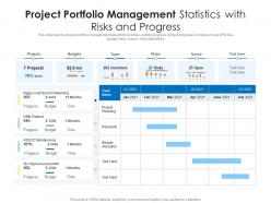 Project portfolio management statistics with risks and progress