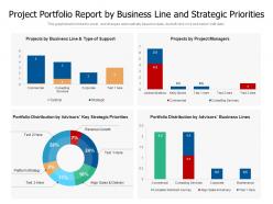 Project Portfolio Report By Business Line And Strategic Priorities