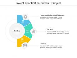 Project prioritization criteria examples ppt powerpoint presentation model tips cpb
