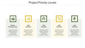 Project Priority Levels Ppt Powerpoint Presentation Model Images Cpb