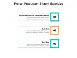 Project production system examples ppt powerpoint presentation file pictures cpb