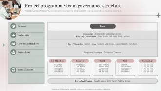 Project Programme Team Governance Structure