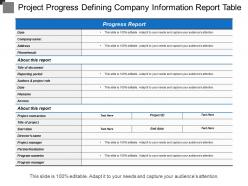 Project progress defining company information report table