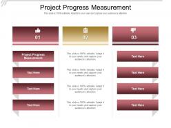 Project progress measurement ppt powerpoint presentation show slide portrait cpb