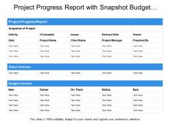 Project progress report with snapshot budget overview status summary