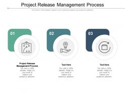 Project release management process ppt powerpoint infographics pictures cpb