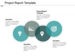 Project report template ppt powerpoint presentation file design ideas cpb