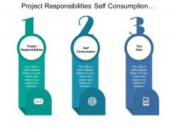 Project Responsibilities Self Consumption Department Responsibilities Steering Committee