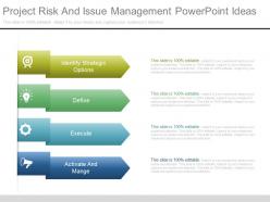 Project risk and issue management powerpoint ideas