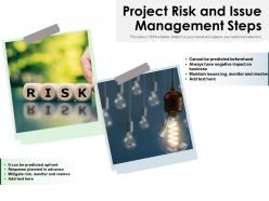 Project risk and issue management steps