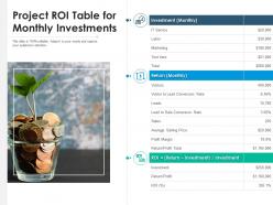 Project roi table for monthly investments