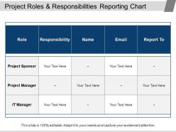 Project roles and responsibilities reporting chart