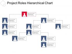 Project roles hierarchical chart presentation portfolio