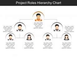 Project roles hierarchy chart sample of ppt presentation