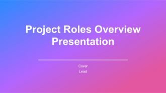 Project Roles Overview Presentation PPT Sample AT