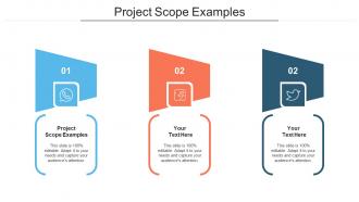 Project Scope Examples Ppt Powerpoint Presentation Professional Shapes Cpb