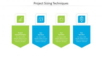 Project sizing techniques ppt powerpoint presentation outline templates cpb