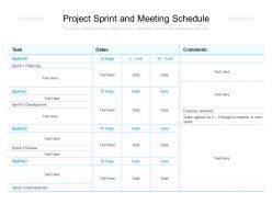 Project sprint and meeting schedule