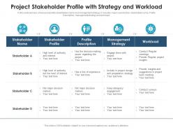 Project stakeholder profile with strategy and workload