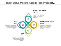 Project status meeting agenda risk probability impact matrix cpb