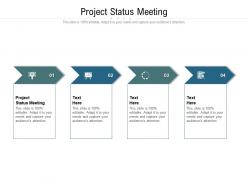 Project status meeting ppt powerpoint presentation professional design templates cpb