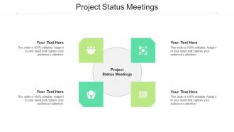 Project status meetings ppt powerpoint presentation background designs cpb