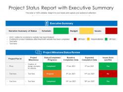 Project Status Report With Executive Summary Presentation Graphics Project Status Report With Executive Summary Presentation Graphics